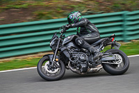 Lower Group Black Bikes